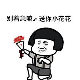 易视界石斛手机眼贴价格