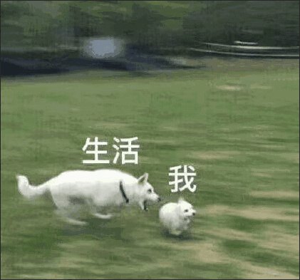 生活节奏不断的加快