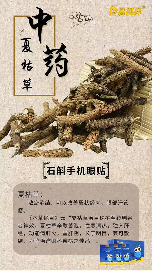 石斛手机眼贴药材知识科普之夏枯草